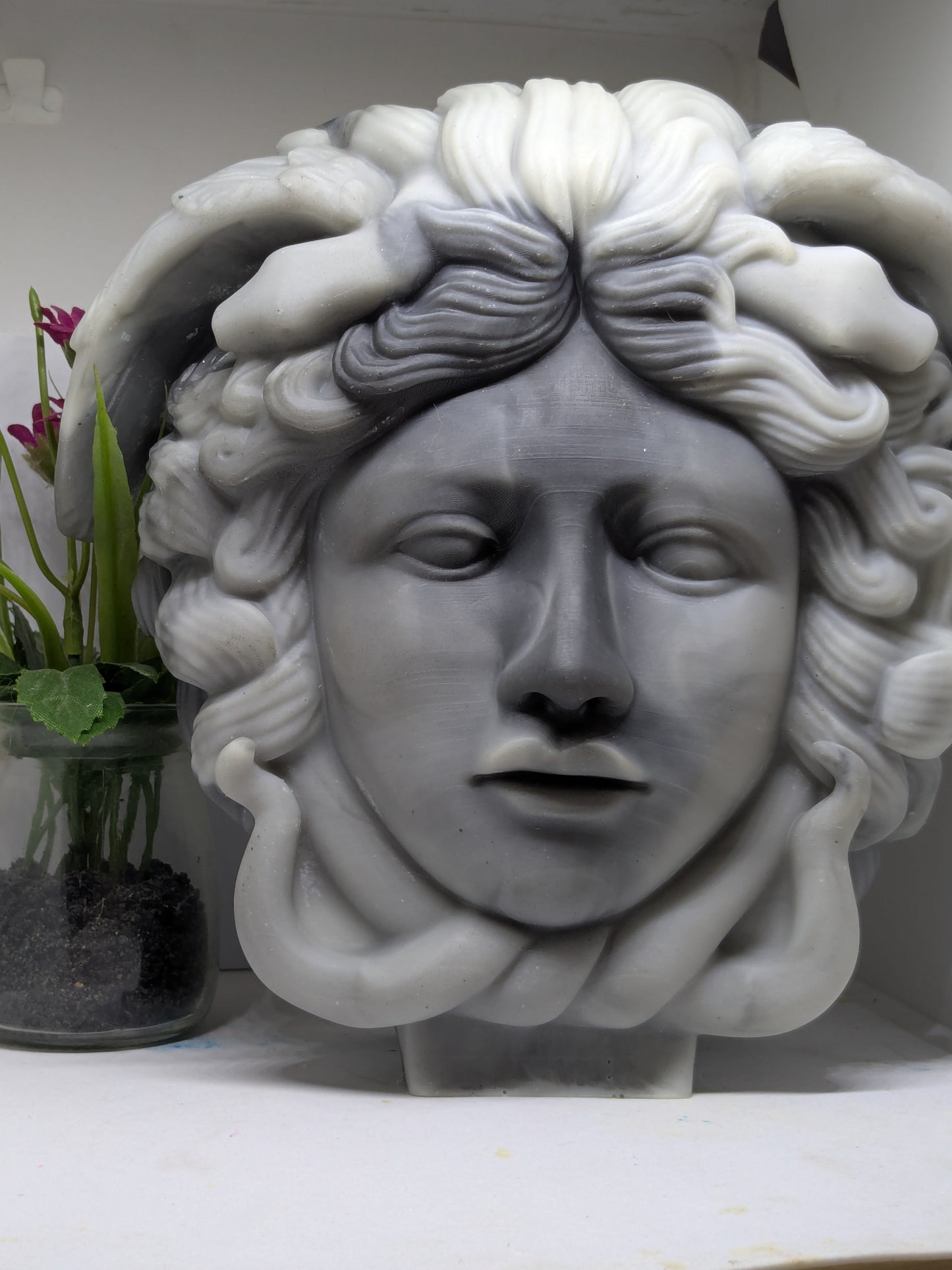 Madusa Head